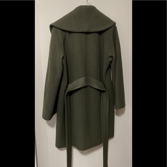 Aritzia Babaton ‘Sian’ Coat GREEN - Picture 2 of 4